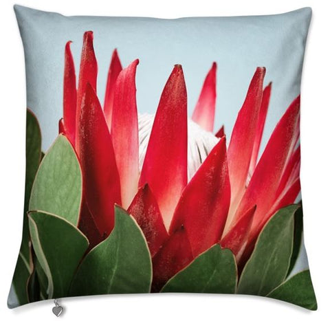 Big Protea Cushion