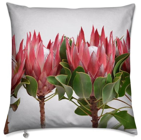 Row Proteas Cushion